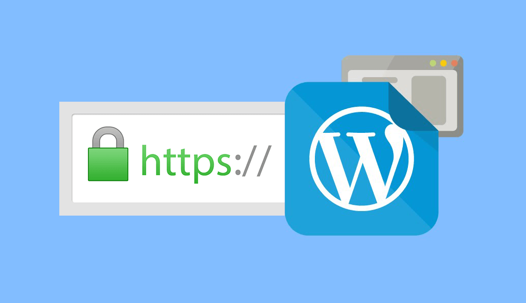 SSL for your WordPress Websites is Absolutely Essential - Ainygo WordPress Support